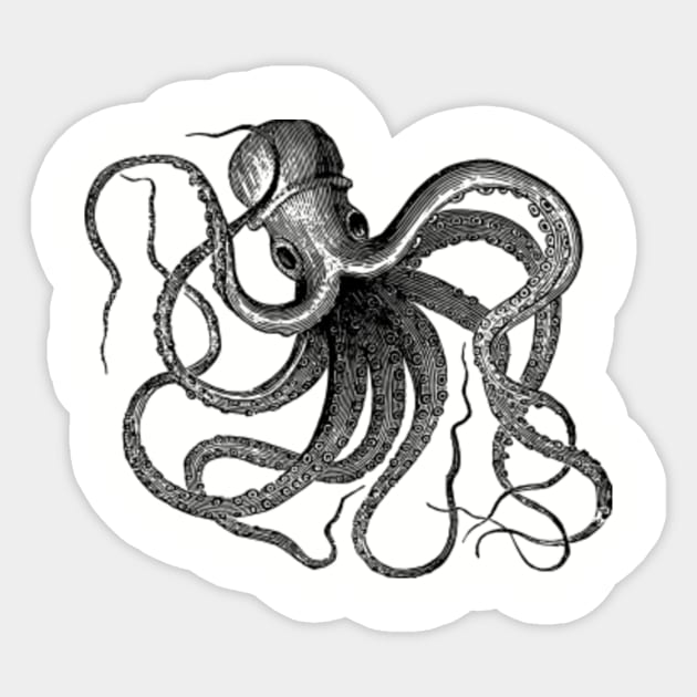 Antique octopus top